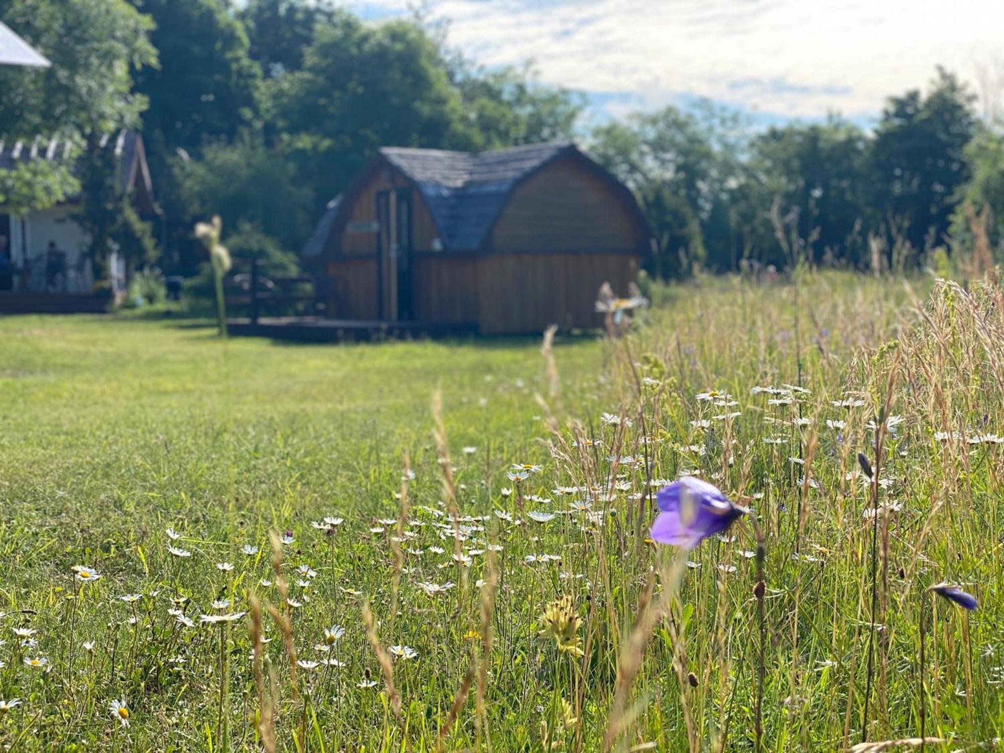 Käspri Farmstay Koguva Exteriör bild
