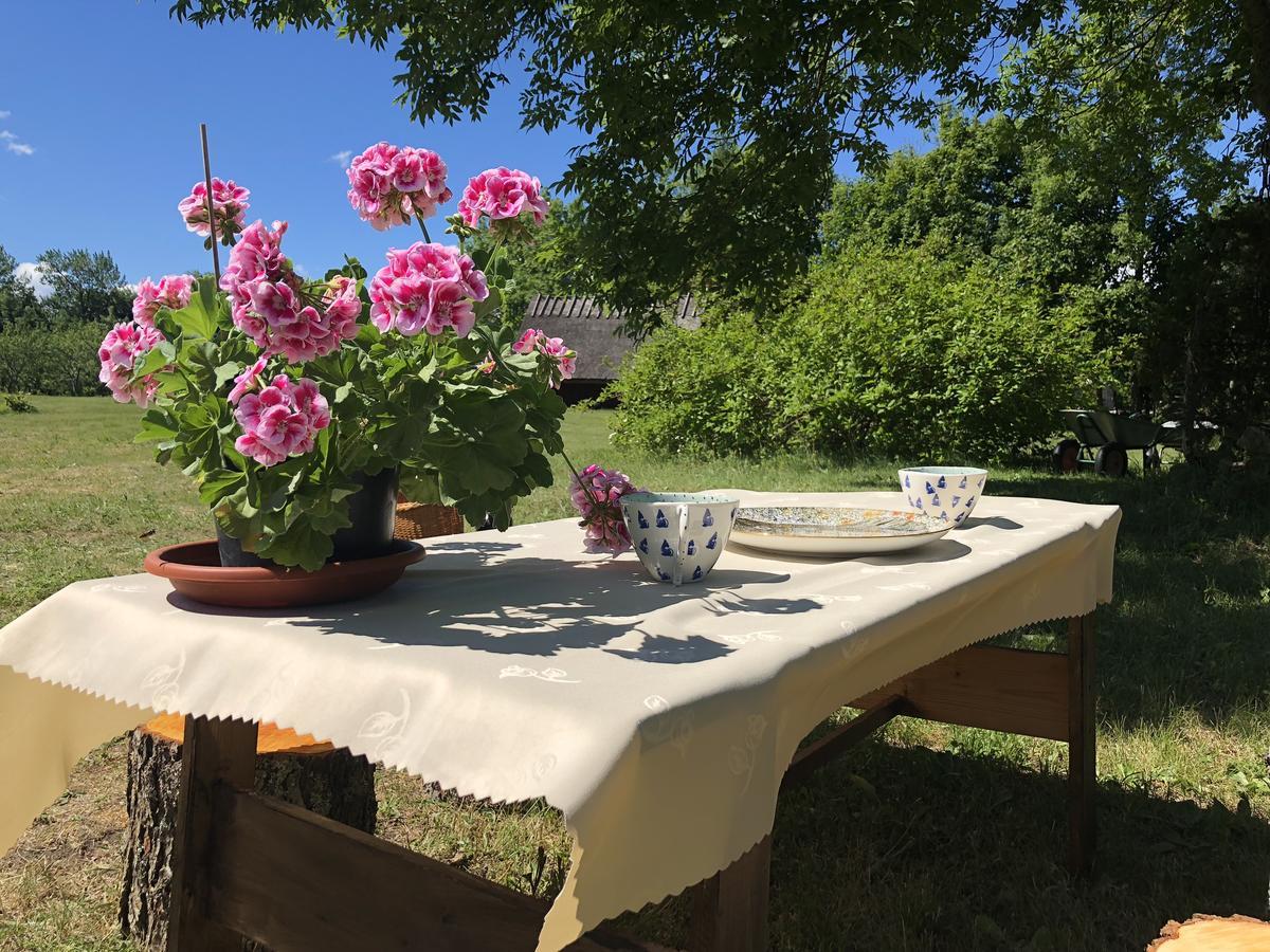 Käspri Farmstay Koguva Exteriör bild